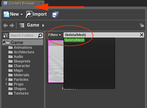 SearchSkeletalMesh.png