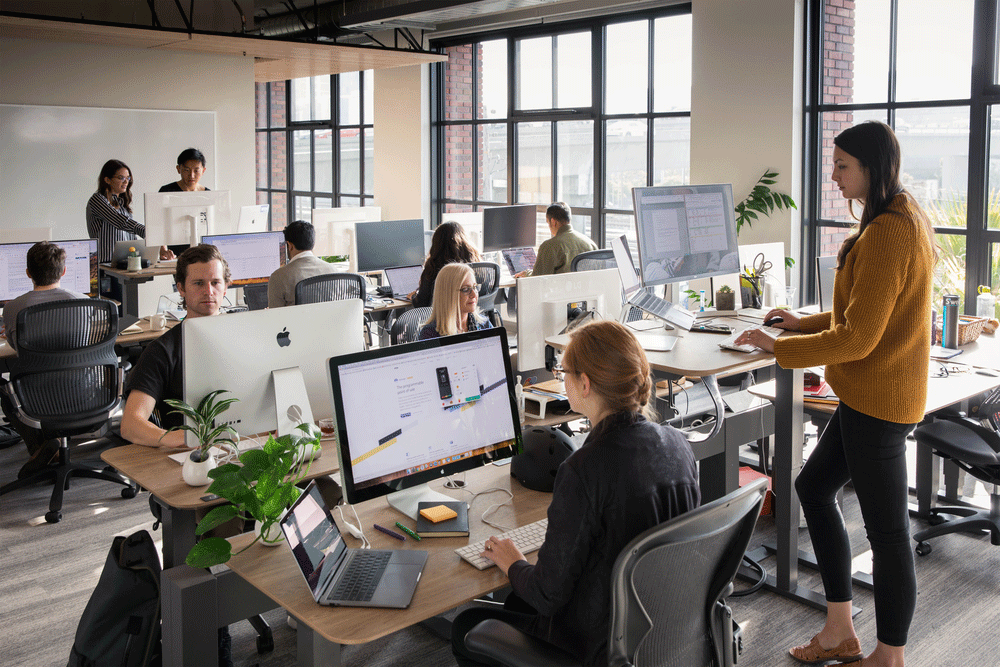 stripe office photo